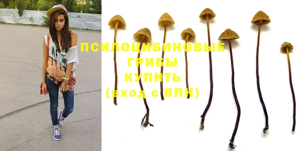 СК Абаза