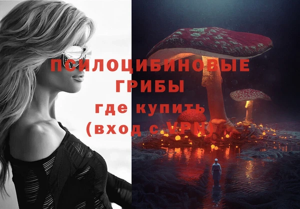 СК Абаза