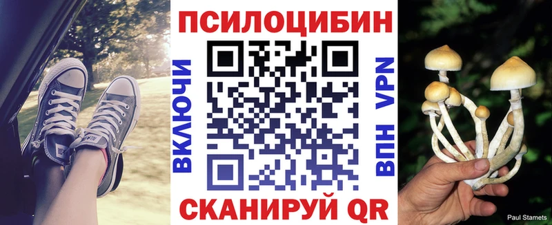 omg маркетплейс Хасавюрт Псилоцибиновые грибы GOLDEN TEACHER